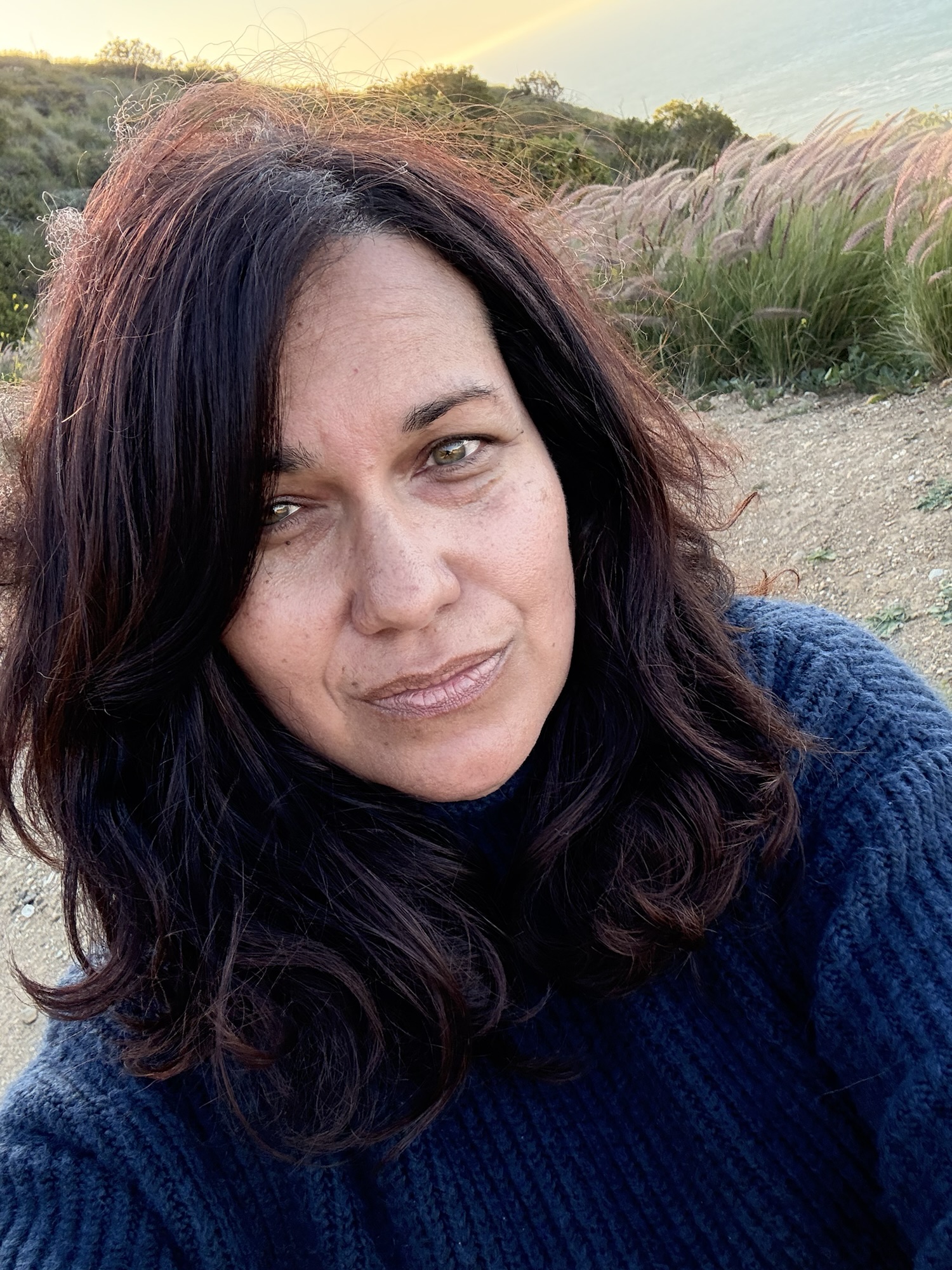 Perspectives: Guardianship, Technology, and the Future of Aging in America